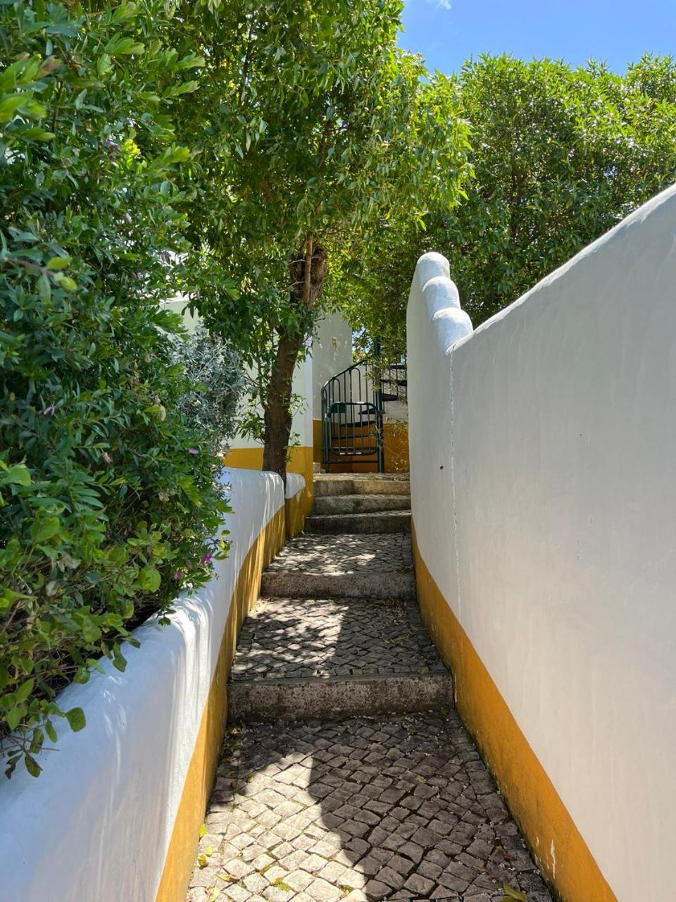 Quinta Laranja - Turismo Rural - Alvorninha Exteriör bild