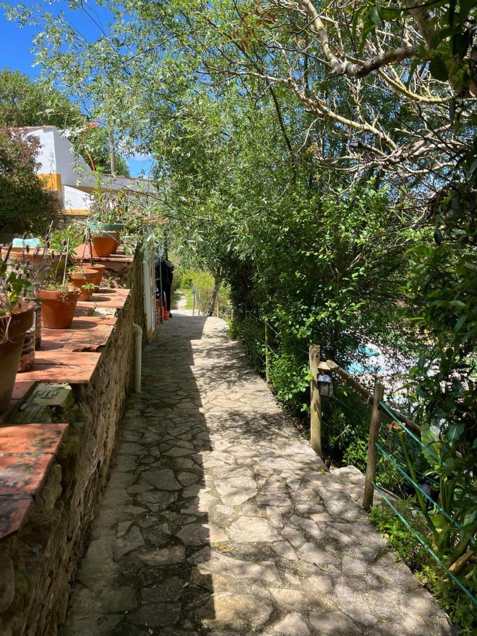 Quinta Laranja - Turismo Rural - Alvorninha Exteriör bild