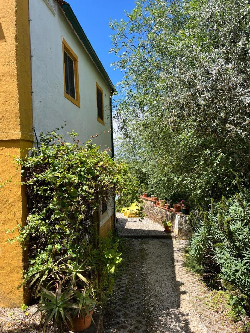 Quinta Laranja - Turismo Rural - Alvorninha Exteriör bild