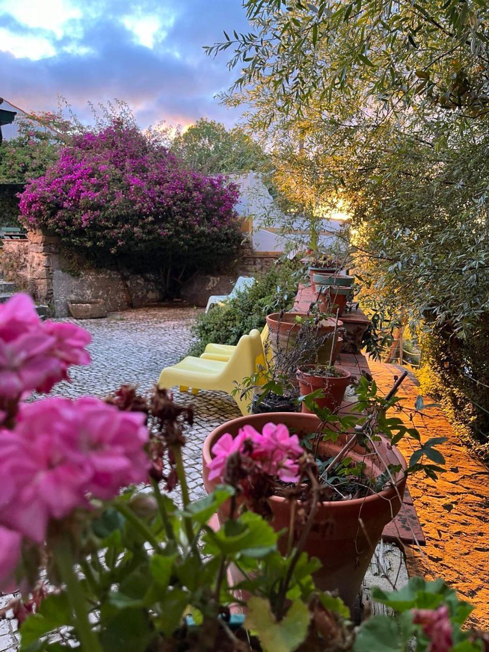Quinta Laranja - Turismo Rural - Alvorninha Exteriör bild