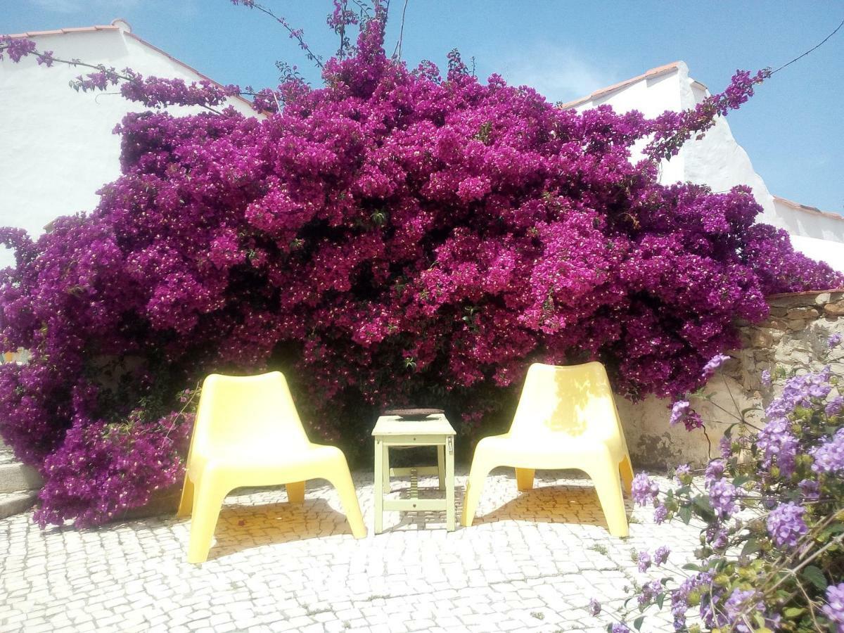 Quinta Laranja - Turismo Rural - Alvorninha Exteriör bild