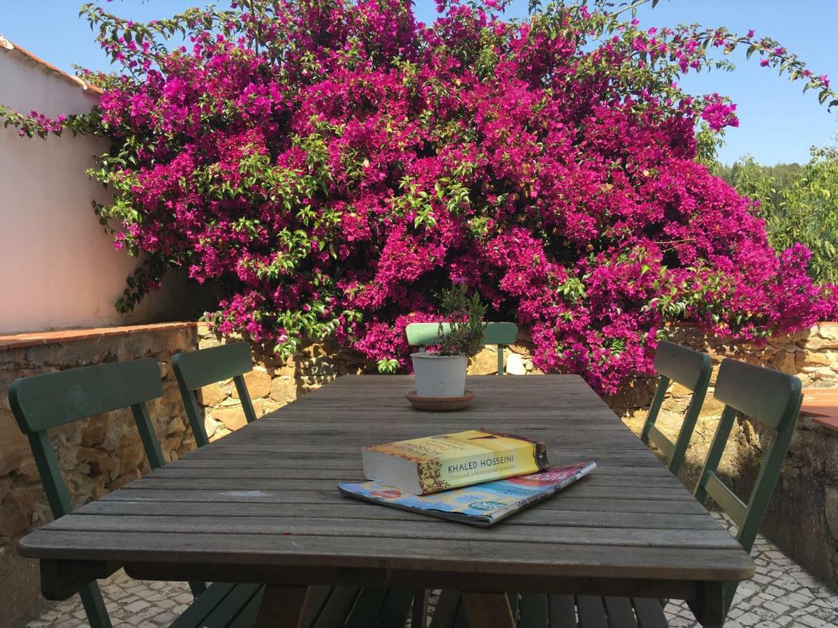 Quinta Laranja - Turismo Rural - Alvorninha Exteriör bild